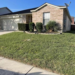 Bush Trimming by Browns and Sons Lawncare reviewed on August 8, 2022