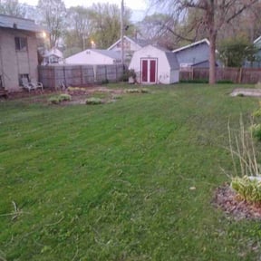 Leaf Removal by Tilcco reviewed on June 17, 2022