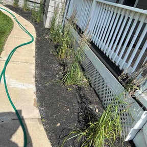 Flower Bed Weeding by Phelps Landscaping Services reviewed on July 19, 2022