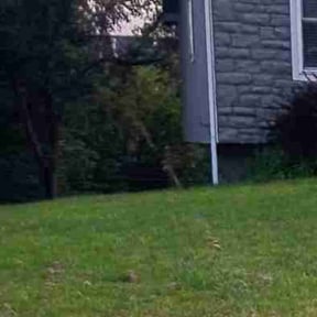 Flower Bed Weeding by LSLTDallas/FortWorthTruGreen reviewed on October 14, 2024