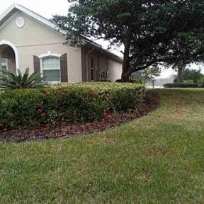 Bush Trimming by Measured Improvements LLC reviewed on June 24, 2021