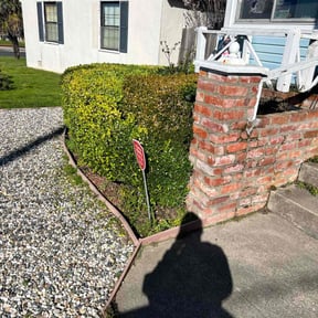 Bush Trimming by Universal lawnscaping reviewed on May 14, 2022