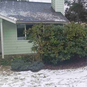 Bush Trimming by Penneys landscape reviewed on June 9, 2022