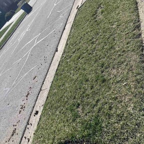 Cleanups by Total Landscaping reviewed on May 19, 2022