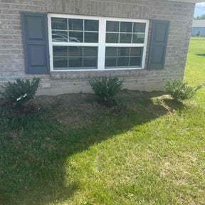 Landscaping by Paul and Paul lawn service and landscaping reviewed on February 17, 2022
