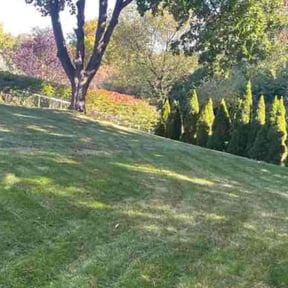 Leaf Removal by Contreras Outdoors reviewed on May 21, 2022