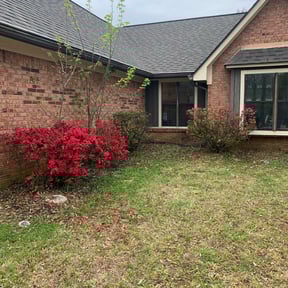 Bush Trimming by Arbor Pro Tree & Landscaping reviewed on June 5, 2025