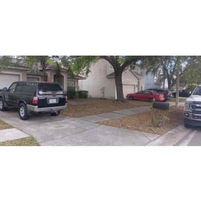 Bush Trimming by Stephen Peffly reviewed on October 24, 2024