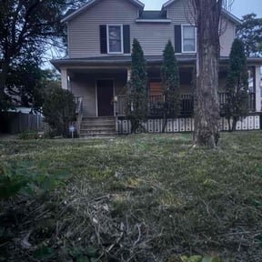 Bush Trimming by Fiechtner Landscape Services reviewed on July 20, 2022