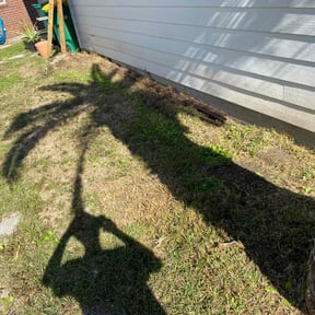 Cleanups by Mr.Carter's Landscaping reviewed on May 24, 2022