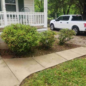 Bush Trimming by TruGreen LawnCare reviewed on August 12, 2024