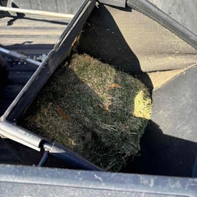 Cleanups by Speedy Lawnmower Landscaping reviewed on July 4, 2025