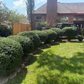 Flower Bed Weeding by LoneStar Mow Pros reviewed on November 9, 2024