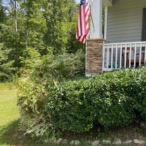 Bush Trimming by Wards lawn care reviewed on July 11, 2022