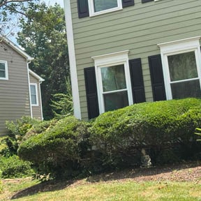 Bush Trimming by It Grow We Mow Lawncare LLC reviewed on July 14, 2022