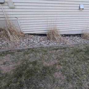 Cleanups by Lawn Busters LLC reviewed on November 11, 2024