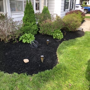 Landscaping by Ace lawn service reviewed on April 24, 2022