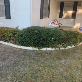 Bush Trimming by JohnRobert Lawn&amp;Garden reviewed on April 19, 2022