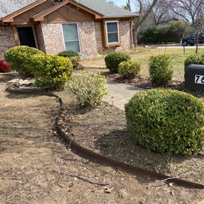 Bush Trimming by TruGreen LawnCare reviewed on April 4, 2025