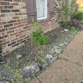 Flower Bed Weeding by MVP Lawns reviewed on May 28, 2025