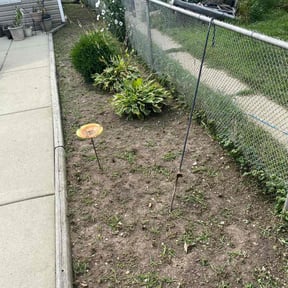 Flower Bed Weeding by The Ascension llc reviewed on June 28, 2022