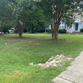 Bush Trimming by Patriot Lawn Services reviewed on April 24, 2022