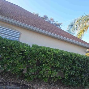Bush Trimming by Curry's mowing reviewed on May 1, 2022