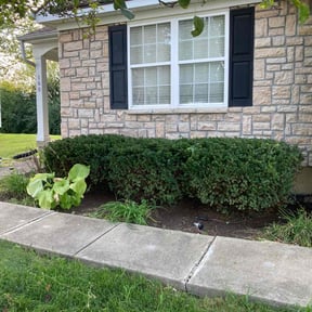 Bush Trimming by Big Chief Lawn Care reviewed on May 26, 2022