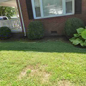 Flower Bed Weeding by Scotton Complete Lawn Care reviewed on April 22, 2025