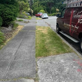Bush Trimming by AWWsome lawncare and Landscaping llc reviewed on November 30, 2023