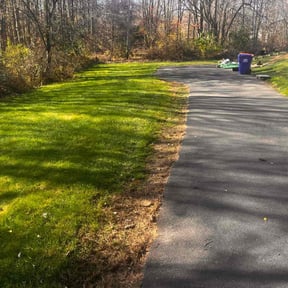 Leaf Removal by Medina's maintenance reviewed on March 7, 2022