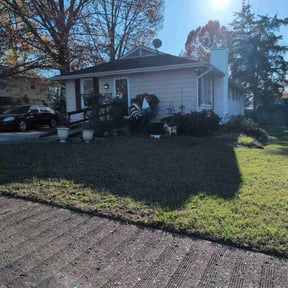 Leaf Removal by Mighty Mowers reviewed on September 24, 2024