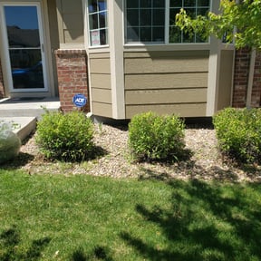 Bush Trimming by Cleancut Landscaping reviewed on May 4, 2025