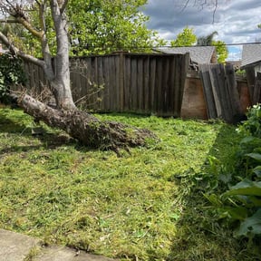 Cleanups by brett b landscaping reviewed on December 16, 2024