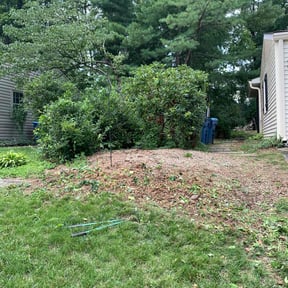 Bush Trimming by DNDLANDSCAPING LLC reviewed on July 19, 2022