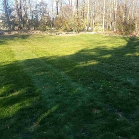 Leaf Removal by Lawn and Labor Services reviewed on April 16, 2022