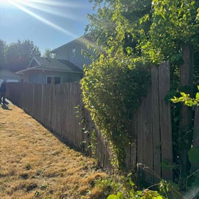 Bush Trimming by King-pierce lawn care reviewed on December 9, 2021
