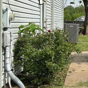 Bush Trimming by Don Genos LLC reviewed on April 16, 2025