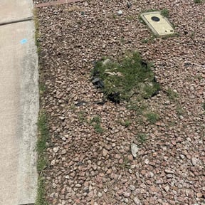 Weeding by C.A.G Lawncare reviewed on November 11, 2023