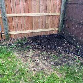 Cleanups by Dels Mow, Blow, and snow removal reviewed on July 7, 2025
