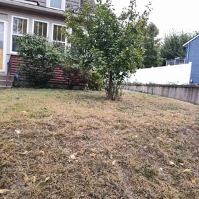 Bush Trimming by SK Services reviewed on September 11, 2020