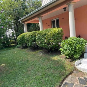Bush Trimming by Keep It Cut Lawn Services reviewed on March 12, 2025