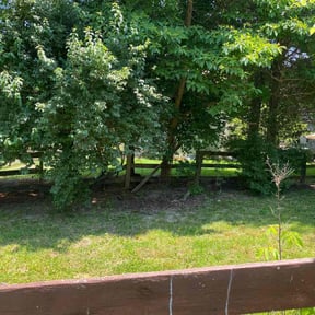 Leaf Removal by A Closer Look Residential Inspections LLC reviewed on May 21, 2022