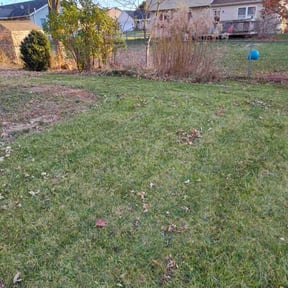 Leaf Removal by Diamonds Landscaping reviewed on May 31, 2022