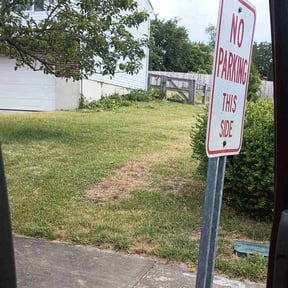 Bush Trimming by Steve’s mowing company reviewed on August 26, 2024