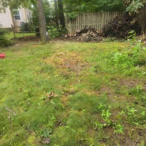Cleanups by Krenik lawn services reviewed on October 24, 2024