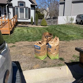 Leaf Removal by ARG landscape & Lawn LLC reviewed on August 14, 2025