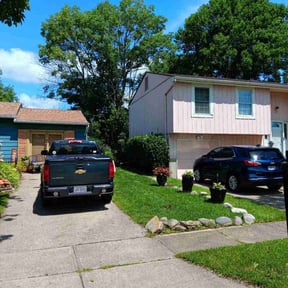 Bush Trimming by A&amp;A lawn service reviewed on June 7, 2025