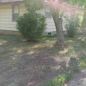 Bush Trimming by D&k Taylor lawn care reviewed on June 10, 2022