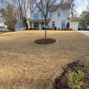 Bush Trimming by Supreme Lawn Care and Junk Removal reviewed on April 8, 2025